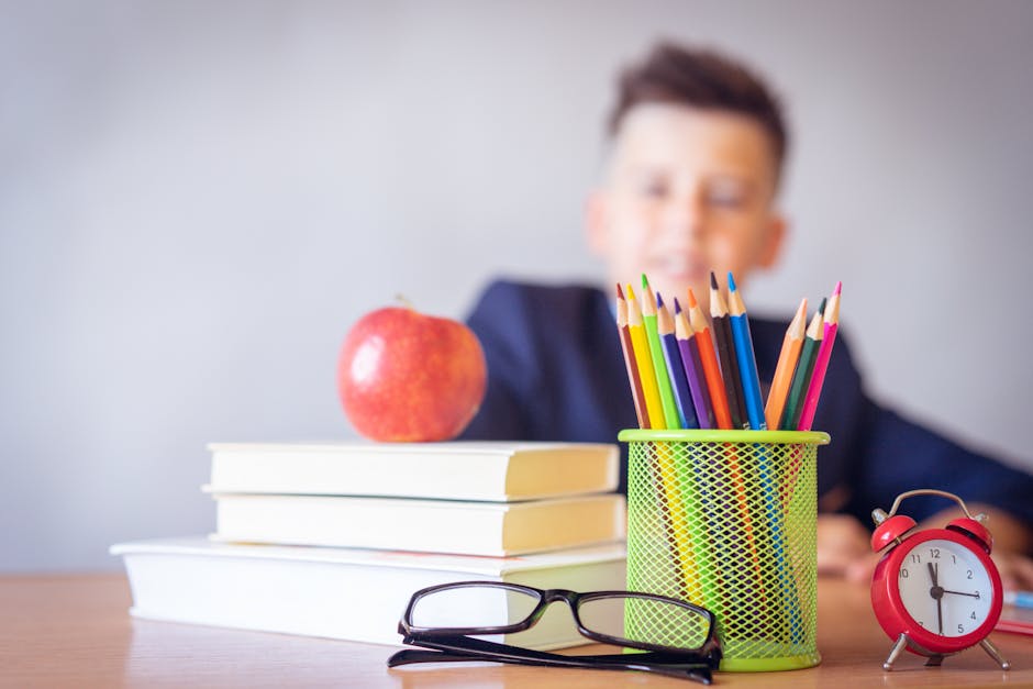 Schoolboy smiling behind a desk with books